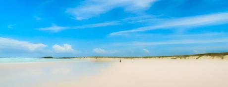 Islas Galápagos, lo que Charles Darwin no te dijo Islas Galápagos, lo que Charles Darwin no te dijo