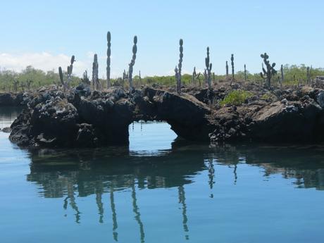 Islas Galápagos, lo que Charles Darwin no te dijo Islas Galápagos, lo que Charles Darwin no te dijo