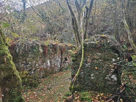 Cueto les Duernes, Sellón y Babu por la Viescona del Sueve.