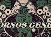 Rock Patagónico (II): Trastornos Generales