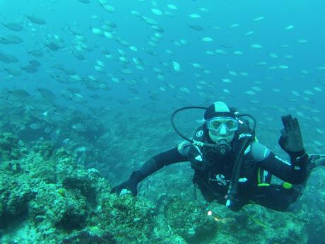 inmersión curricular