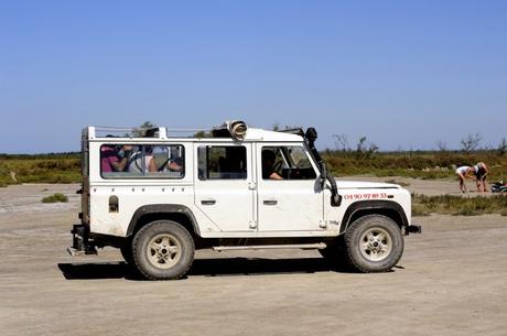 Haz un safari en 4x4 en la Camarga