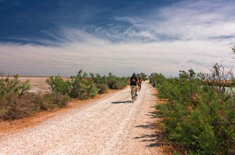 Visita la Camarga en bicicleta