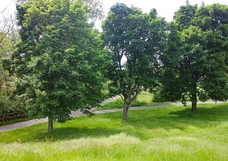 Las 12 mejores cosas para hacer en Battle Creek, MI Las 12 mejores cosas para hacer en Battle Creek, MI