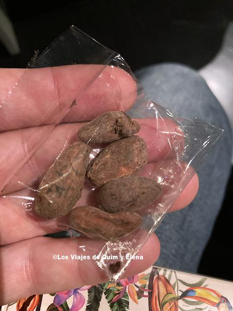 Habas de cacao en la Fábrica de Chocolate en Espai Xocolata