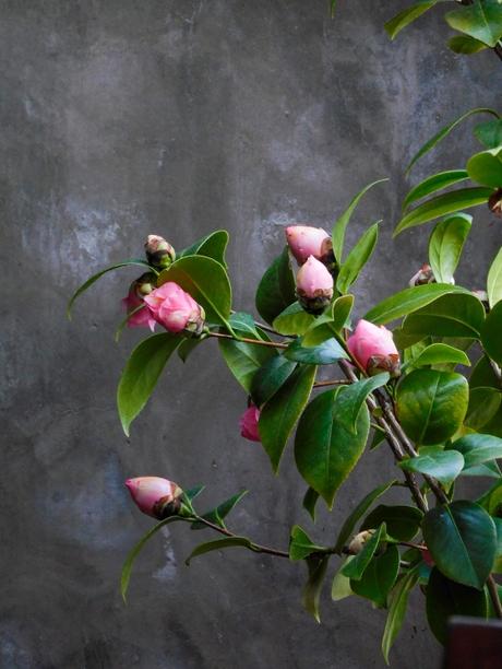 A las 22:24 empezará la alteración… A las 22:24 empezará la alteración…