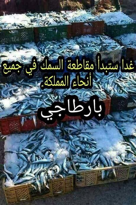 inshala es %D9%81%D9%8A%D9%84%D9%85 %D9%84%D8%A7%D9%8A%D8%B9%D9%82%D9%84 409 9914300:16272 565 146979192_25894 27 11146613 86722 inshala es %D9%81%D9%8A%D9%84%D9%85 %D9%84%D8%A7%D9%8A%D8%B9%D9%82%D9%84 409 9914300:16272 565 146979192_25894 27 11146613 86722