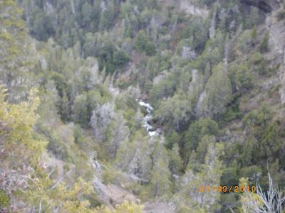 Patagonia andina, portal de la belleza natural