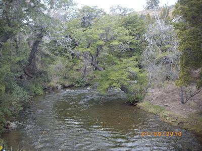 Patagonia andina, portal de la belleza natural