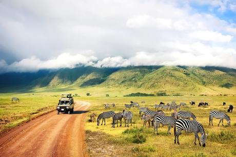 Naturaleza salvaje de África.  Cebras contra montañas y nubes.  Safari en el Parque Nacional del Cráter de Ngorongoro.  Tanzania.