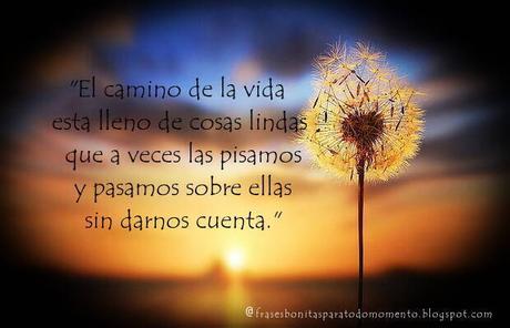 La frase bonita de hoy.