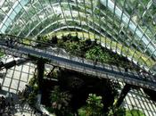 Sostenibilidad: aprendiendo ejemplos organizaciones globales