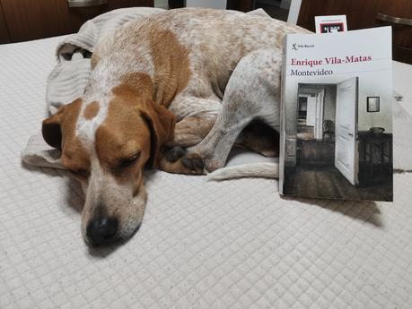 CON UNA MIRADA ALCANZA, LA IMAGINACIÓN HACE EL RESTO