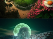 vida consiste conjugar paradojas