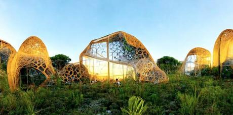 El Futuro de la Huerta: Innovación y Sistemas de Riego por Goteo. La Innovación en el Manejo del Agua.