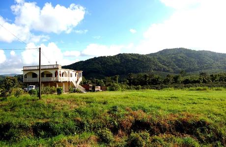La carretera del colibrí