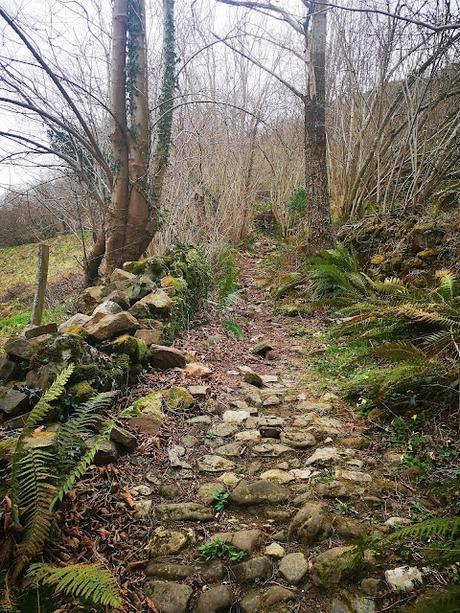 La Peña Serandi por las Foces de Las Xanas y los Picarós