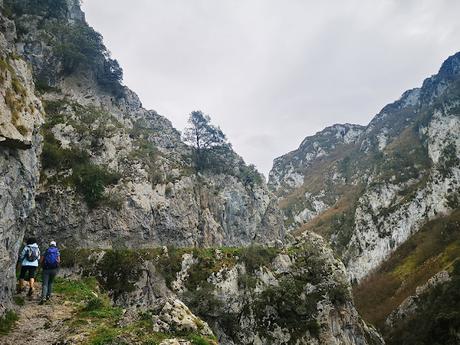 La Peña Serandi por las Foces de Las Xanas y los Picarós