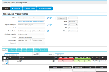 Añadir los datos en un presupuesto de Cloud Gestion Crear Presupuesto: pestaña detalles