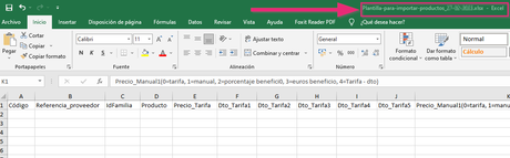 Importar artículos del almacén en Cloud Gestion Documento excel que se genera al descargar la plantilla para realizar la importación