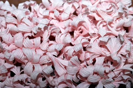 El método de Muller e implementación en Python