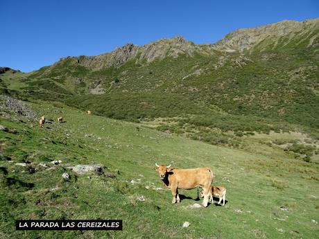 Villar de Vildas-La Pornacal-El Cornón