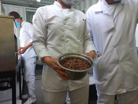 Cacao, más que un producto, es sostenibilidad, empalme generacional y desarrollo para el campo colombiano