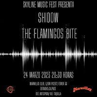 Concierto de Shidow y The Flamingos Bite en Maravillas Club