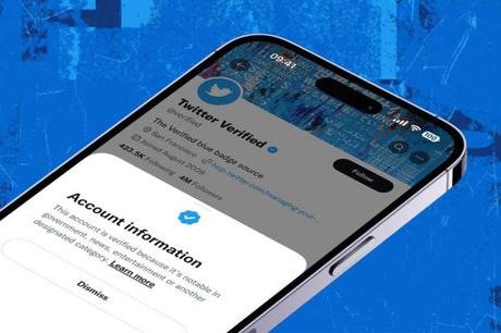 Twitter Blue, verificación