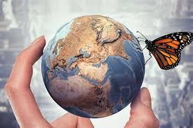 Preparando los insecticidas de nueva generación... Preparando los insecticidas de nueva generación...