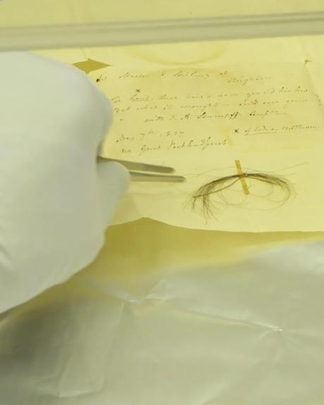 ¿De qué murió Beethoven? Esto dice su ADN ¿De qué murió Beethoven? Esto dice su ADN