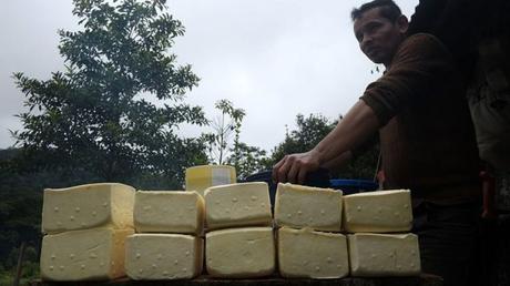 #Gastronomía | #Venezuela se convirtió en el segundo productor de #queso de América Latina Queso.