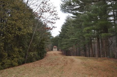 15 mejores cosas para hacer en Wayland (MA) 15 mejores cosas para hacer en Wayland (MA)