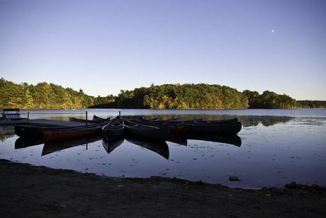 15 mejores cosas para hacer en Wayland (MA) 15 mejores cosas para hacer en Wayland (MA)