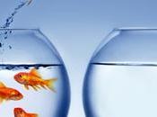 Gerencia cambio cultura organizacional