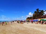 Playa Francés. Maceió. Alagoas