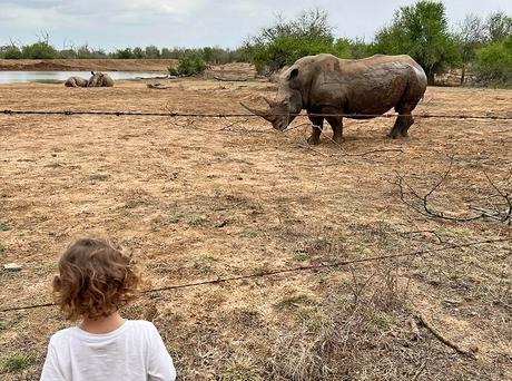 niña frente a un rinoceronte en Hlane Esuatini