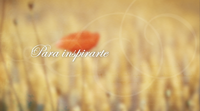 Esta primavera una amapola cargada de historias te está esperando. Nuevo libro de José María Toro