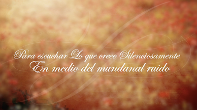 Esta primavera una amapola cargada de historias te está esperando. Nuevo libro de José María Toro