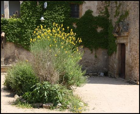 Edén en Fontclara, Girona Edén en Fontclara, Girona