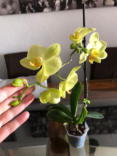 🎵 2º Trimestre Superado!!! 1º Bachiller Científico🎵