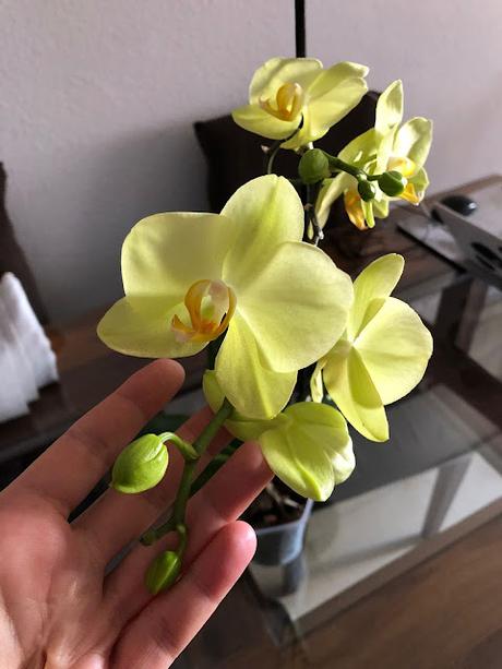 🎵 2º Trimestre Superado!!! 1º Bachiller Científico🎵