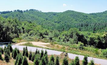 Escapada a Sant Hilari de Sacalm