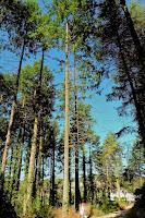 Escapada a Sant Hilari de Sacalm