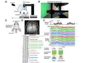 realidad virtual para neuronal autismo