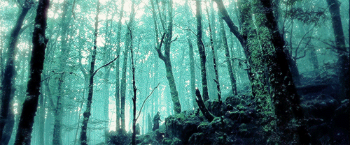 Reseña: Más allá del Bosque del Ocaso - Juan Manuel Peñate Rodríguez Reseña: Más allá del Bosque del Ocaso - Juan Manuel Peñate Rodríguez