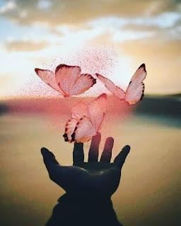 5.427 - NO VOLVERÁN...