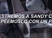 226. Juguetes inclusivos