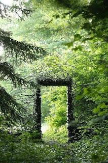 5.428 - ESCUCHA AL BOSQUE...