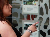 estudio Finanzate revela cada créditos solicitan jóvenes conceden